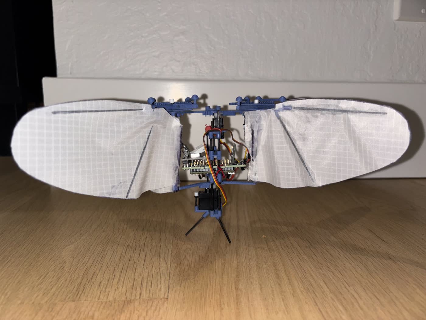 BioFlap ornithopter from the front, wings spread