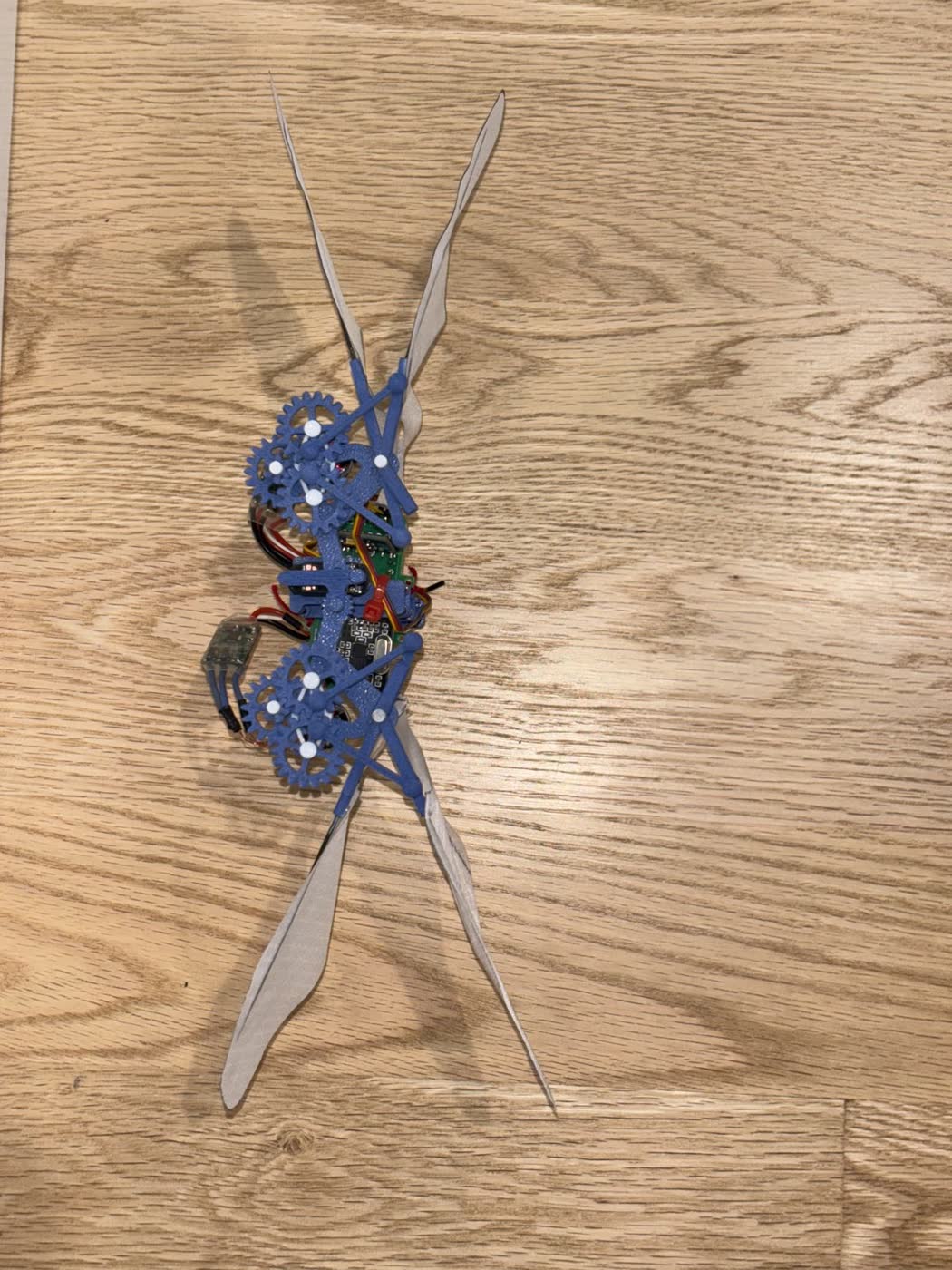 BioFlap from above with wings folded